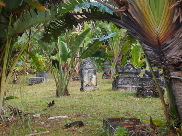 The-crumbling-cemetery-its-graves-half-covered-by-tall-swaying-grass-is-open-to-the-public.-640x480